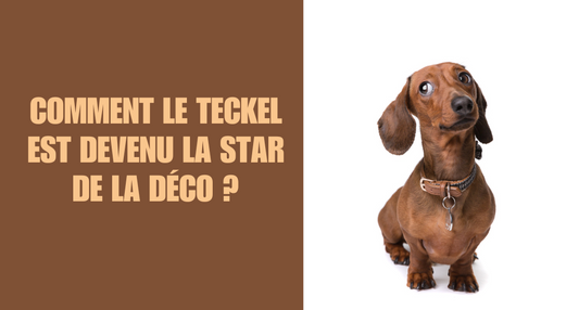 Comment le Teckel Est Devenu la Star de la Déco ?