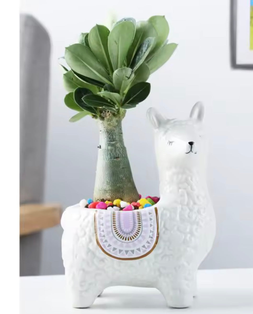 Pot de fleurs alpaga coloré en céramique, objet déco ludique et tendance