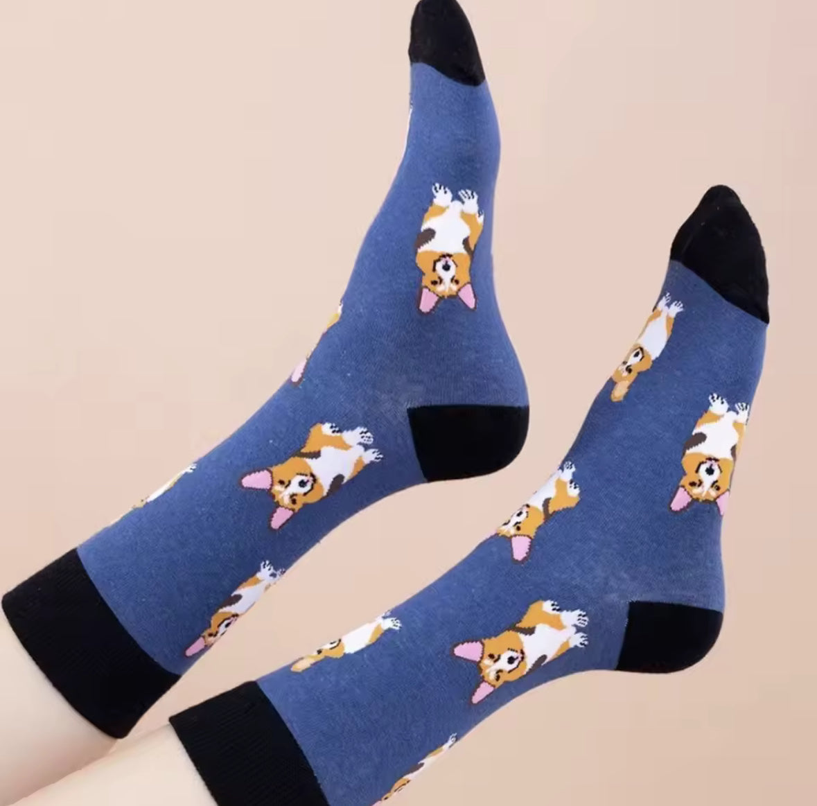 Chaussettes coton polyester design chien Corgi, style casual mode