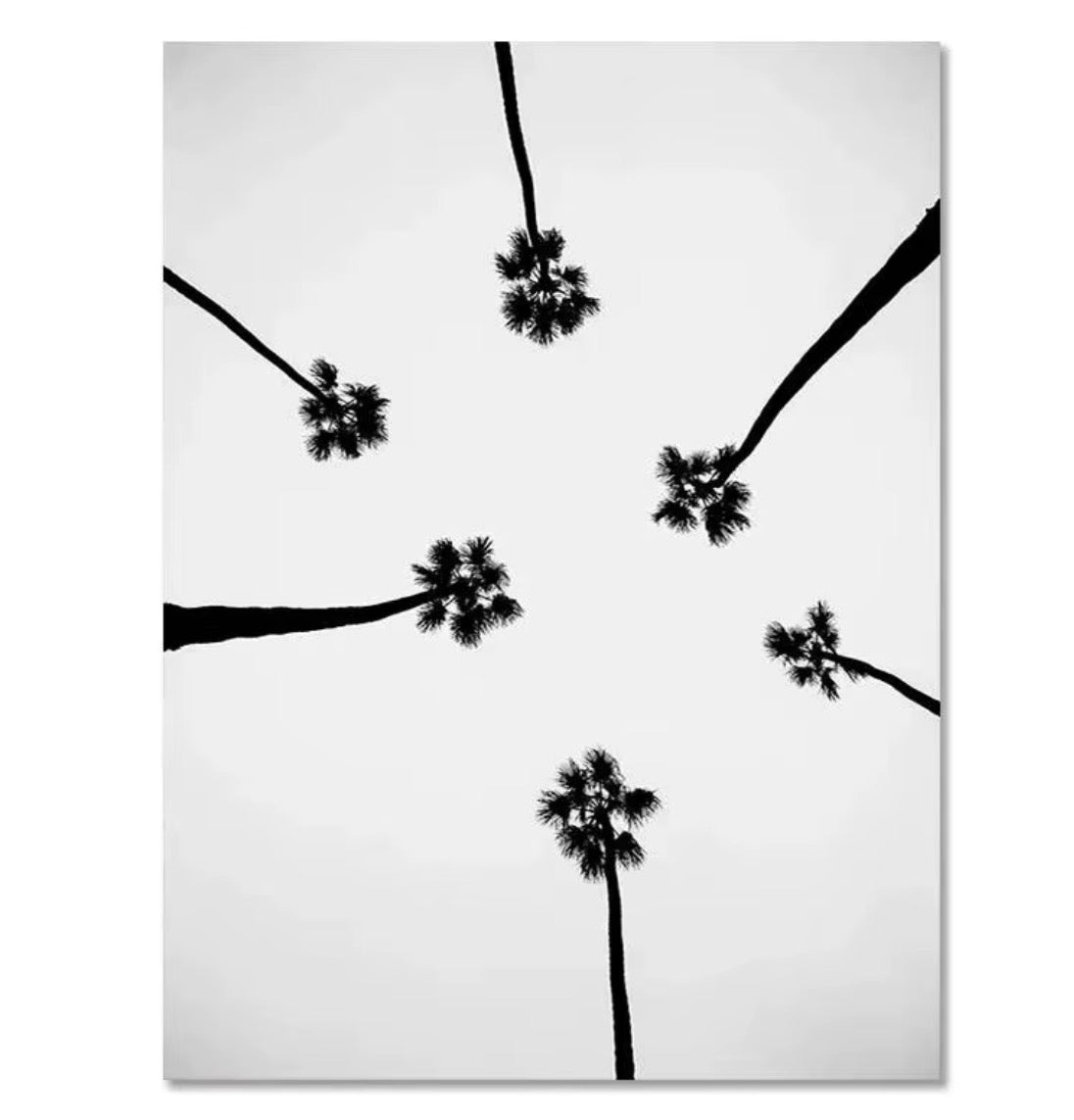 Collection d’Affiches Ocean Lifestyle – Surf & Vibes Californiens