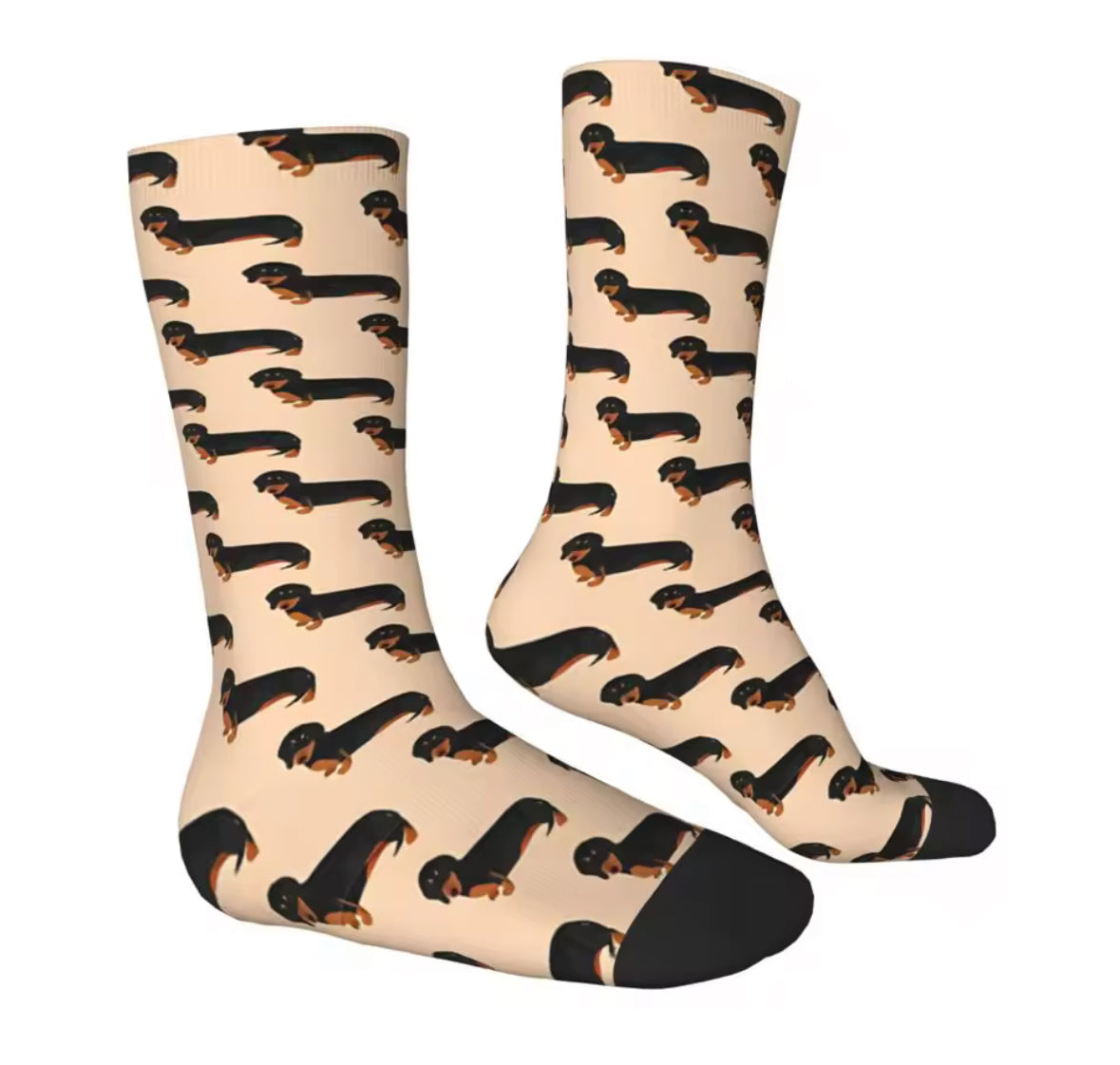 Chaussettes Teckel au design moderne et stylé