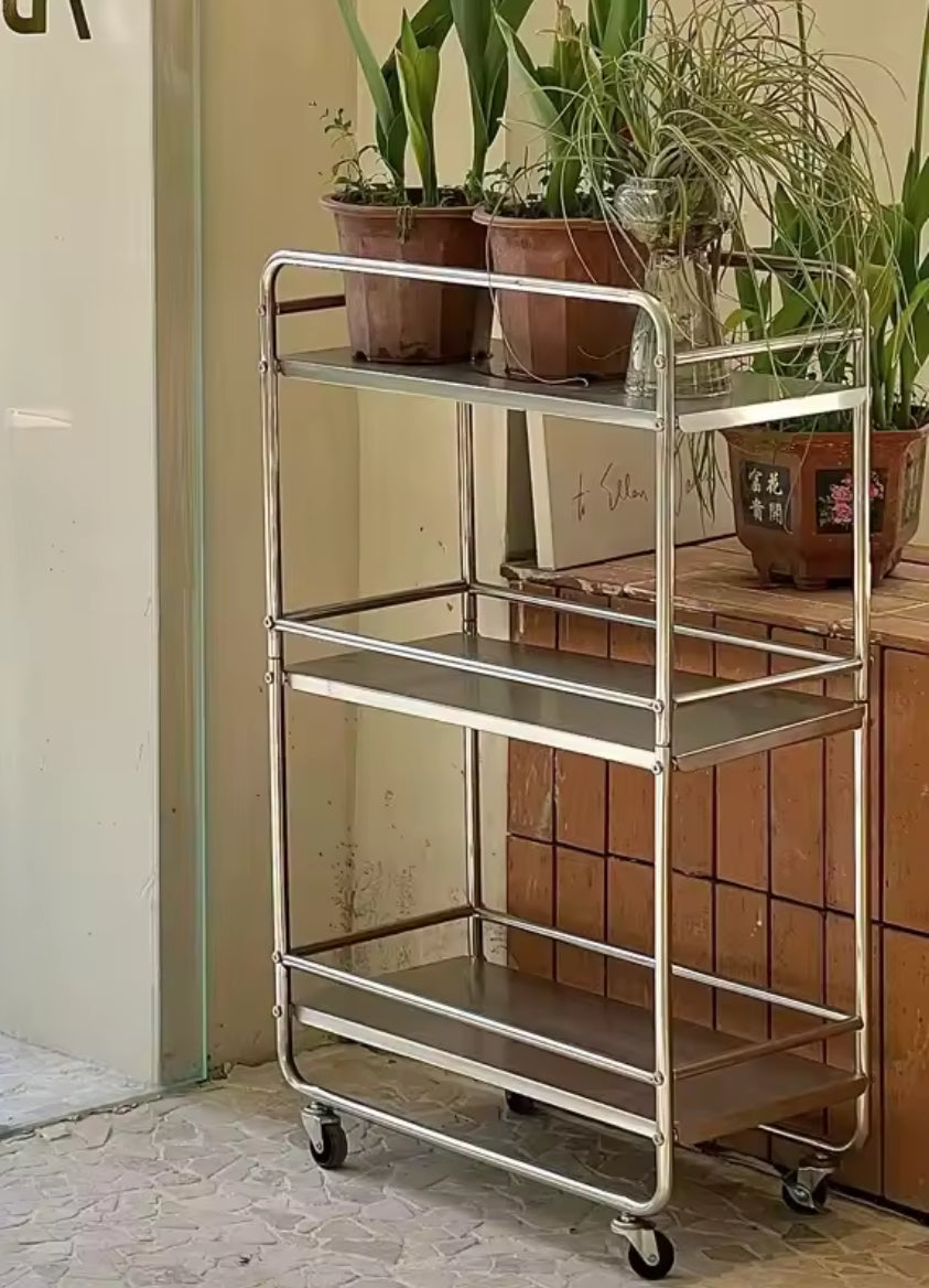 Étagère roulante en acier inoxydable utilisée comme support de plantes vertes en intérieur
