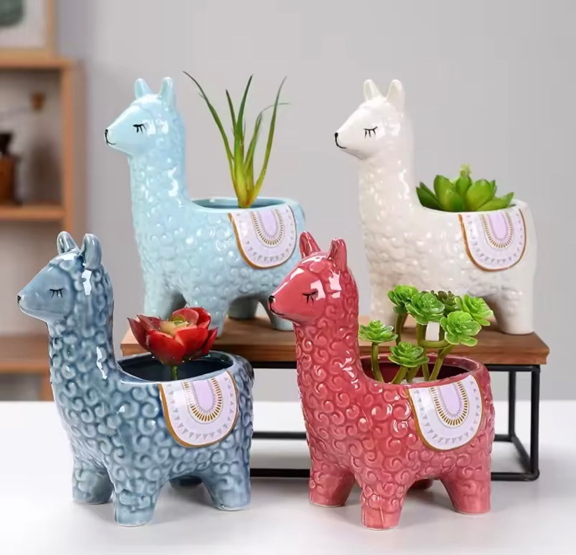 Pot de fleurs alpaga en céramique décoratif pour plante grasse et succulente