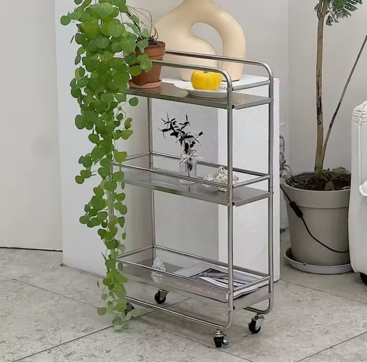 Chariot de rangement étroit en acier inoxydable décoré de plantes et de magazines