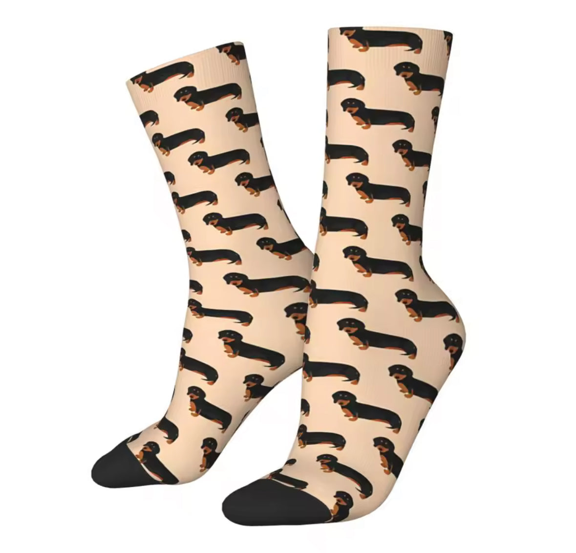 Chaussettes Teckel beige à motif dachshund pour amoureux des chiens