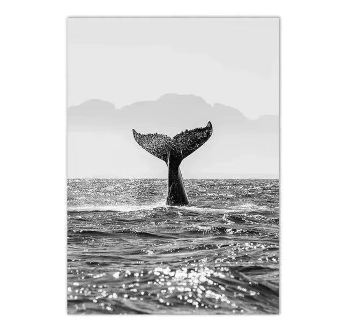 Collection d’Affiches Ocean Lifestyle – Surf & Vibes Californiens