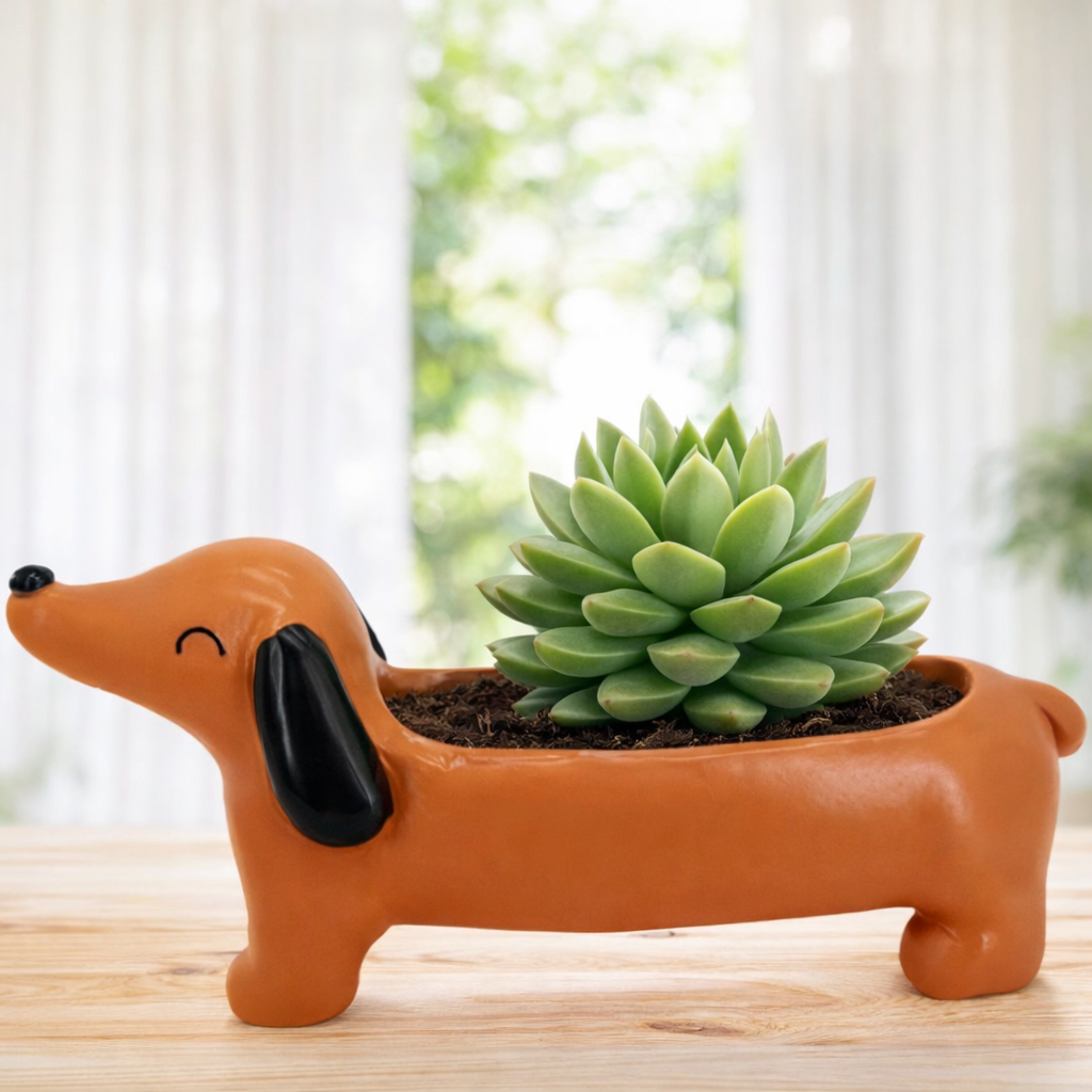 Pot de Fleurs Teckel