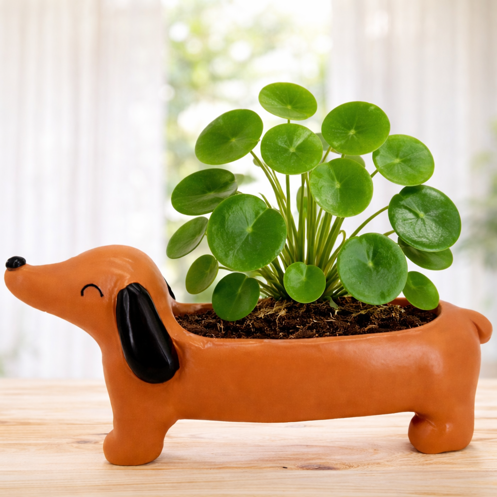 Pot de fleurs teckel design posé sur meuble – décoration maison moderne